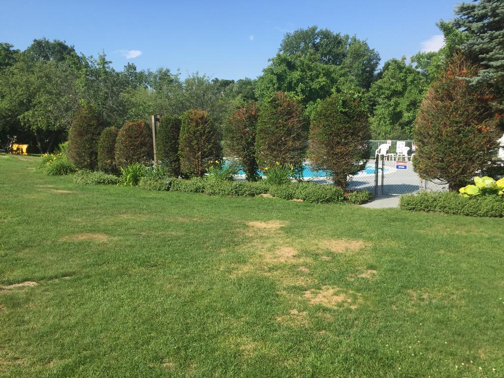 Briarcliff Motel North Conway Esterno foto